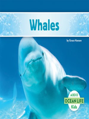 cover image of Whales